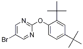 5-Bromo-2-(2,4-di-tert-butylphenoxy)pyrimidineStructure,1017788-99-6Structure 5-Bromo-2-(2,4-di-tert-butylphenoxy)pyrimidine Structure,1017788-99-6Structure