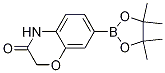 7-(4,4,5,5-四甲基-1,3,2-二噁硼烷-2-基)-2H-苯并[b][1,4]噁嗪-3(4h)-酮結構式_1219130-57-0結構式