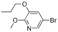 5-Bromo-2-methoxy-3-propoxypyridineStructure,1241752-40-8Structure 5-Bromo-2-methoxy-3-propoxypyridine Structure,1241752-40-8Structure