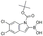 1-Boc-5,6-dichloro-1h-indole-2-boronic acidStructure,1310384-28-1Structure 1-Boc-5,6-dichloro-1h-indole-2-boronic acid Structure,1310384-28-1Structure