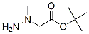 Tert-butyl 2-(1-methylhydrazinyl)acetateStructure,144036-71-5Structure Tert-butyl 2-(1-methylhydrazinyl)acetate Structure,144036-71-5Structure