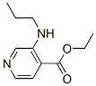 4-Pyridinecarboxylicacid,3-(propylamino)-,ethylester(9ci)Structure,151323-47-6Structure 4-Pyridinecarboxylicacid,3-(propylamino)-,ethylester(9ci) Structure,151323-47-6Structure
