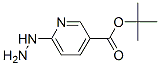 6-Hydrazinyl-3-pyridinecarboxylic acid 1,1-dimethylethyl esterStructure,163213-19-2Structure 6-Hydrazinyl-3-pyridinecarboxylic acid 1,1-dimethylethyl ester Structure,163213-19-2Structure