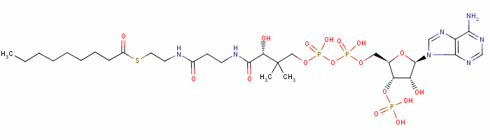 Nonanoyl-Coenzyme AStructure,17331-98-5Structure Nonanoyl-Coenzyme A Structure,17331-98-5Structure