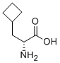 D-cyclobutylalanine Structure,174266-00-3Structure