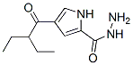 1H-pyrrole-2-carboxylicacid,4-(2-ethyl-1-oxobutyl)-,hydrazide(9ci)Structure,477848-78-5Structure 1H-pyrrole-2-carboxylicacid,4-(2-ethyl-1-oxobutyl)-,hydrazide(9ci) Structure,477848-78-5Structure
