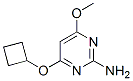 2-Pyrimidinamine,4-(cyclobutyloxy)-6-methoxy-(9ci)Structure,552880-94-1Structure 2-Pyrimidinamine,4-(cyclobutyloxy)-6-methoxy-(9ci) Structure,552880-94-1Structure