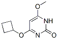 2(1H)-pyrimidinone,4-(cyclobutyloxy)-6-methoxy-(9ci)Structure,552880-95-2Structure 2(1H)-pyrimidinone,4-(cyclobutyloxy)-6-methoxy-(9ci) Structure,552880-95-2Structure