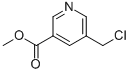 Methyl 5-(chloromethyl)nicotinateStructure,562074-61-7Structure Methyl 5-(chloromethyl)nicotinate Structure,562074-61-7Structure