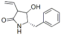 2-Pyrrolidinone, 3-ethenyl-4-hydroxy-5-(phenylmethyl)-, (5s)-(9ci)Structure,624743-12-0Structure 2-Pyrrolidinone, 3-ethenyl-4-hydroxy-5-(phenylmethyl)-, (5s)-(9ci) Structure,624743-12-0Structure