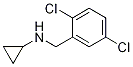 Cyclopropyl-(2,5-dichloro-benzyl)-amineStructure,680591-59-7Structure Cyclopropyl-(2,5-dichloro-benzyl)-amine Structure,680591-59-7Structure