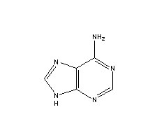 腺嘌呤結(jié)構(gòu)式_73-24-5結(jié)構(gòu)式