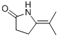 2-Pyrrolidinone,5-(1-methylethylidene)-(9ci)Structure,81659-63-4Structure 2-Pyrrolidinone,5-(1-methylethylidene)-(9ci) Structure,81659-63-4Structure