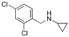Cyclopropyl-(2,4-dichloro-benzyl)-amineStructure,892568-95-5Structure Cyclopropyl-(2,4-dichloro-benzyl)-amine Structure,892568-95-5Structure