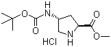 (2S,4r)-4-boc-amino pyrrolidine-2-carboxylic acid methyl ester hcl Structure,913742-54-8Structure