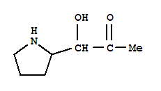 2-Propanone, 1-hydroxy-1-(2-pyrrolidinyl)-(9ci)Structure,208102-58-3Structure 2-Propanone, 1-hydroxy-1-(2-pyrrolidinyl)-(9ci) Structure,208102-58-3Structure