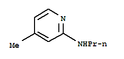 2-Pyridinamine,4-methyl-n-propyl-(9ci)Structure,219478-20-3Structure 2-Pyridinamine,4-methyl-n-propyl-(9ci) Structure,219478-20-3Structure