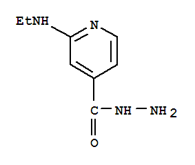 4-Pyridinecarboxylicacid,2-(ethylamino)-,hydrazide(9ci)Structure,77314-47-7Structure 4-Pyridinecarboxylicacid,2-(ethylamino)-,hydrazide(9ci) Structure,77314-47-7Structure
