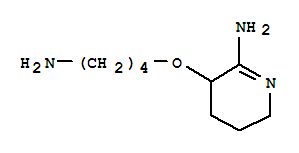 2-Pyridinamine,3-(4-aminobutoxy)-3,4,5,6-tetrahydro-(9ci)Structure,779300-90-2Structure 2-Pyridinamine,3-(4-aminobutoxy)-3,4,5,6-tetrahydro-(9ci) Structure,779300-90-2Structure
