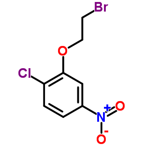 2-(2-Bromoethoxy)-1-chloro-4-nitrobenzeneStructure,3062-53-1Structure 2-(2-Bromoethoxy)-1-chloro-4-nitrobenzene Structure,3062-53-1Structure