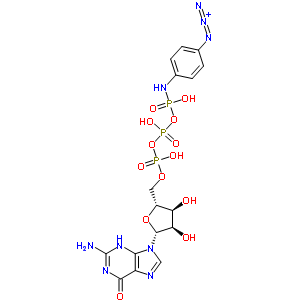 GTP gamma-4-疊氮基苯胺結(jié)構(gòu)式_60869-76-3結(jié)構(gòu)式